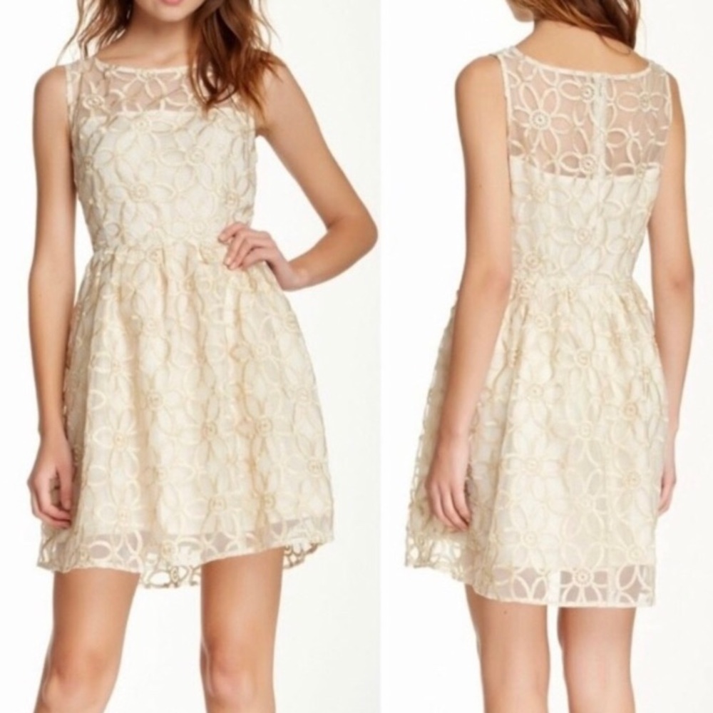 Stunning BB Dakota Dress